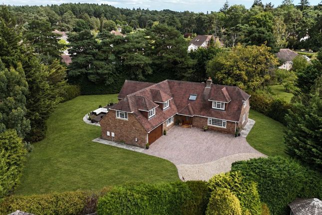 The Willows, Horton Road, Ringwood photo 3