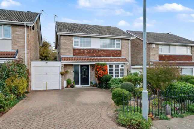 Front_2 Cropped.Jpeg