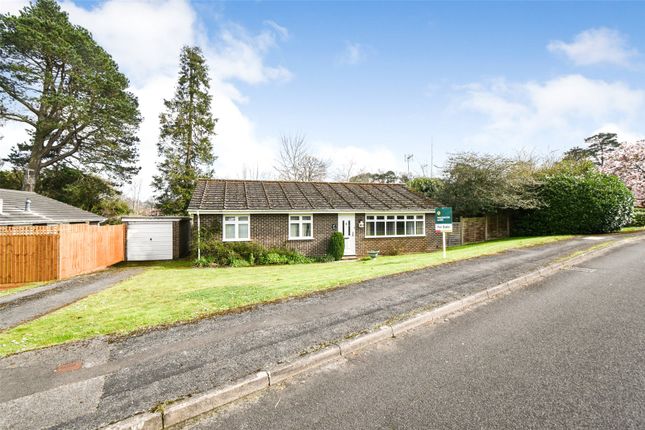 Bungalow for sale in The Spinney, Hook, Hampshire