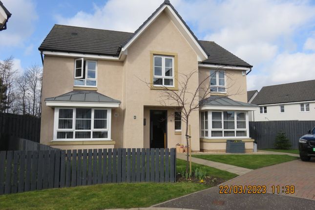 Thumbnail Detached house to rent in Stromness Place, Kirkcaldy