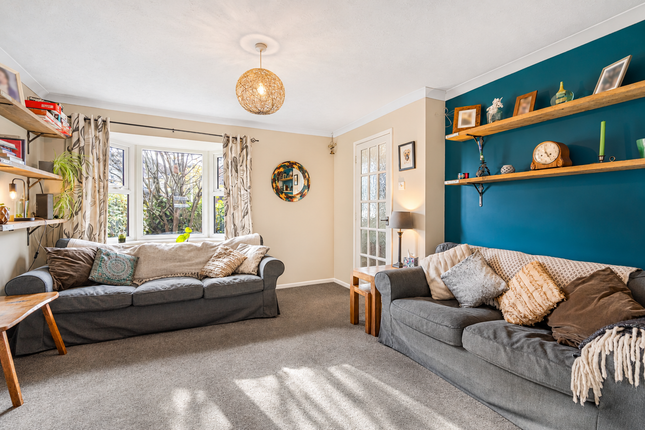 Orchid Vale, Newton Abbot photo 4
