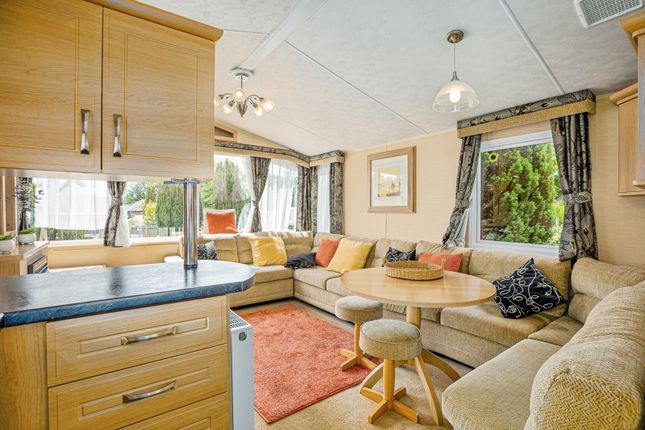 Plot 19 - Willerby Granada,, Cenarth, Ceredigion photo 4