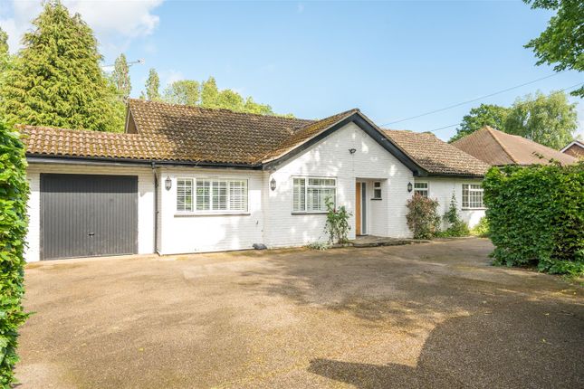 Thumbnail Bungalow to rent in Ockham Road South, East Horsley, Leatherhead