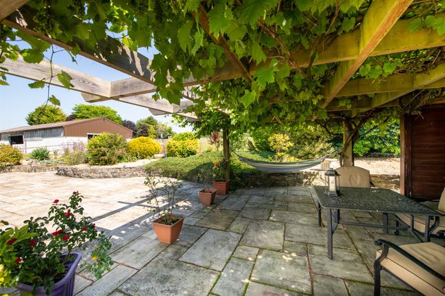 Bentleigh Farm_31.07.24-76.Jpg