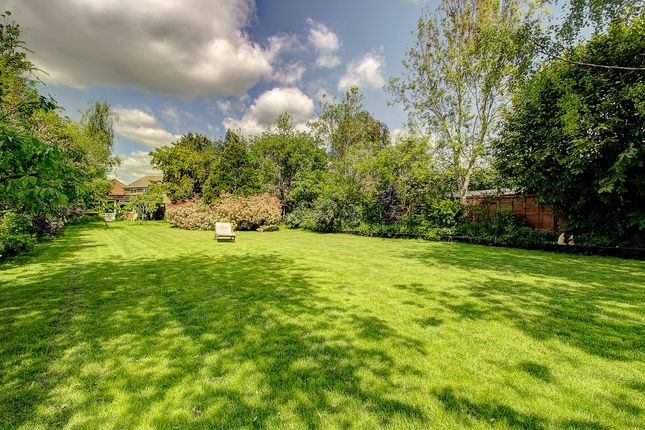 Thumbnail Detached house for sale in The Grove, Bletchley