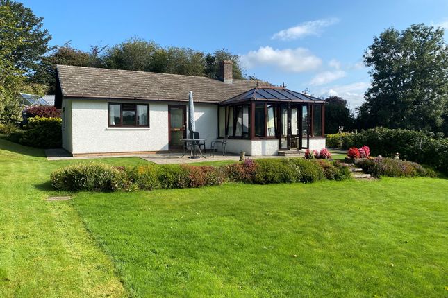 Thumbnail Detached bungalow for sale in Llwynygroes, Tregaron