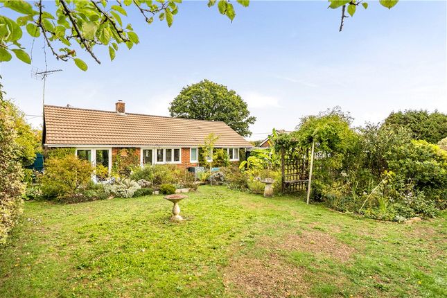 Laramie,, Lockerley Green, Romsey photo 2