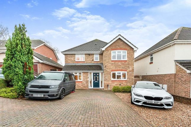 Thumbnail Detached house to rent in Schroeder Close, Basingstoke, Hampshire
