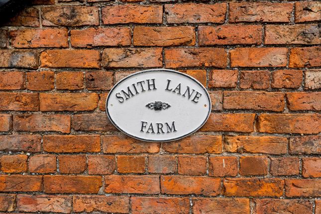 Smith Lane Farm-32.Jpg