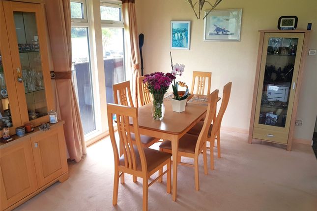 2 Summerfield,, Winkleigh, Devon photo 4