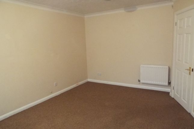 14, Southampton photo 2