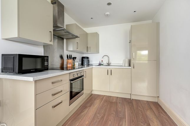 Flat 8 Manor House (7)