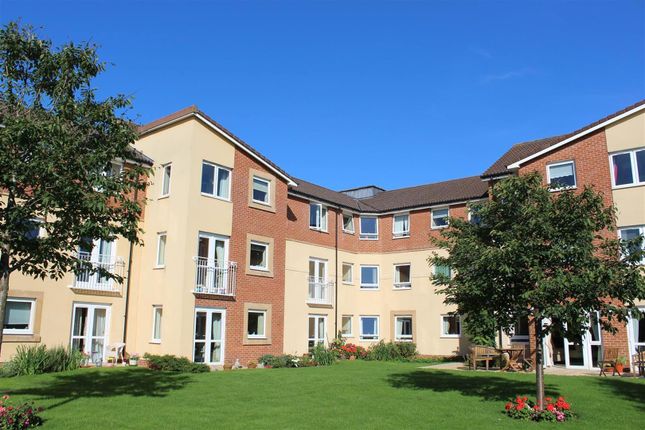 Rear Of Building