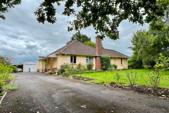 Thumbnail Bungalow for sale in Sand Road, Wedmore