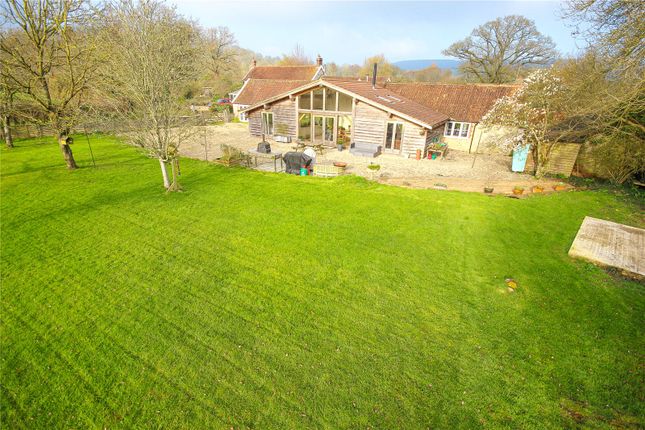 Lent Lily Cottage,, Shute, Shute photo 2
