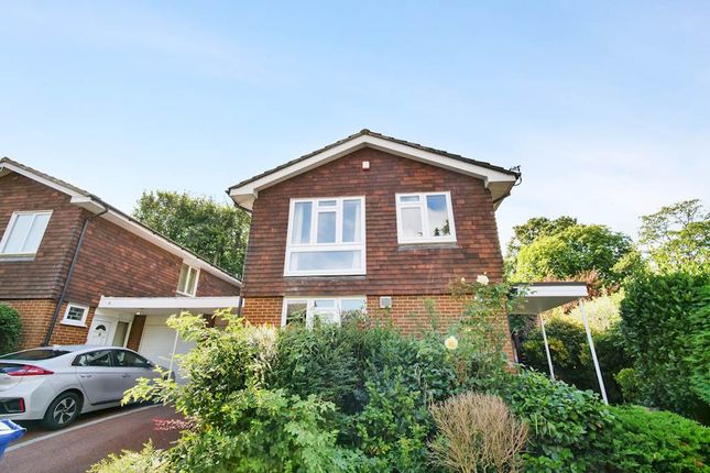 Thumbnail Detached house to rent in Bell Meadow, London