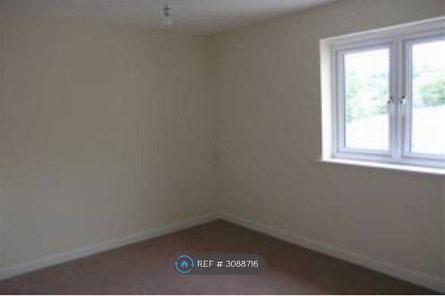 Horse Chestnut Close, Chesterfield photo 4