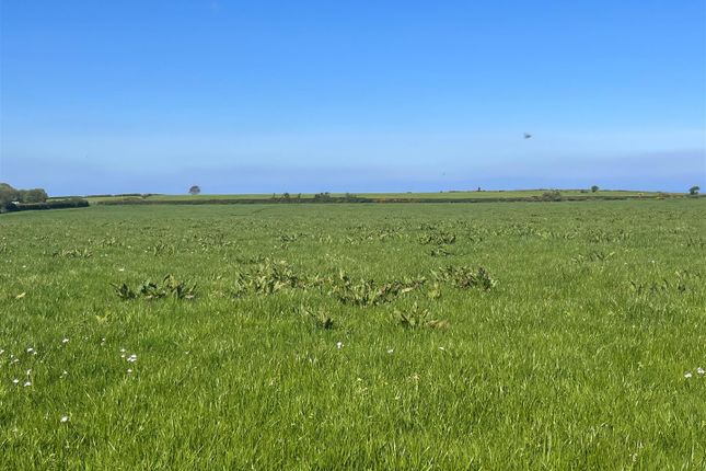 Land at Llansantffraed, Llanon photo 3