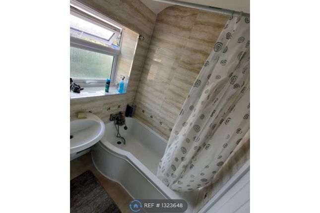 Hailsham Road, London photo 3