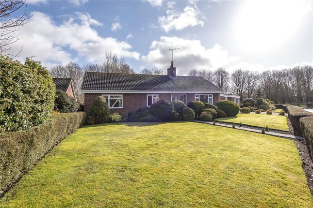 Thumbnail Detached bungalow for sale in Woodlands Road, Pewsey