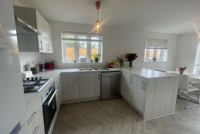 45, Nottingham photo 2