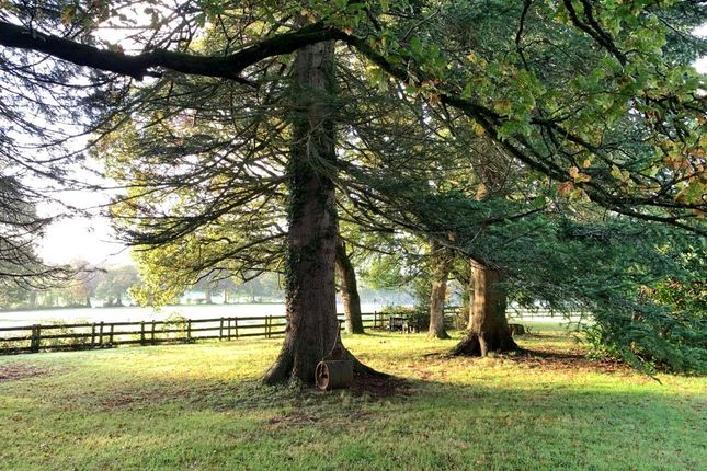 Gardens And Grounds