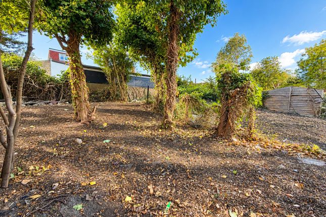 12b Mosslea Road, London photo 3