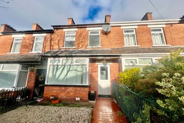 Thumbnail Terraced house to rent in Ava Avenue, Belfast, County Antrim