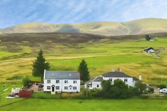 5 Horners Place, ,, Biggar photo 4
