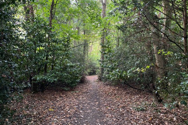 Copper Beech Close, Surrey photo 4