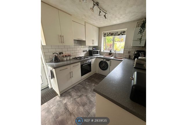 Old Mansfield Road, Derby photo 4