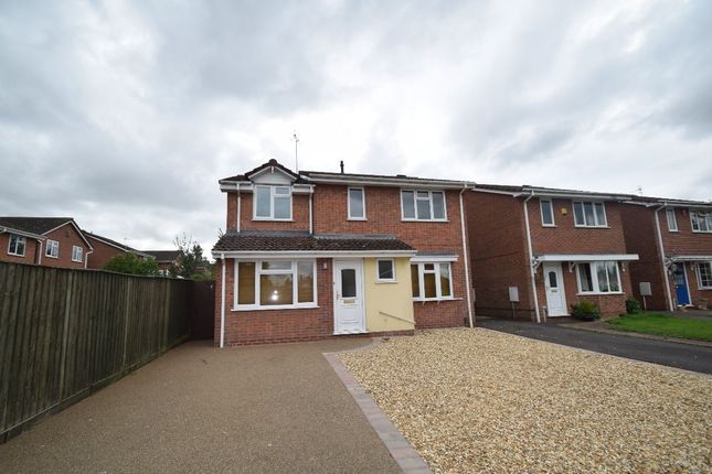 Thumbnail Detached house to rent in Ingestre Close, Newport