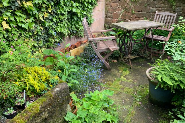 Walled Fern Garden