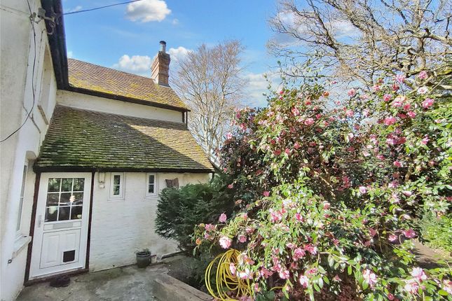 Semi-detached house for sale in Love Hill Cottages, Trotton, Petersfield, Hampshire