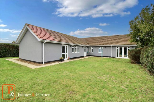 Thumbnail Bungalow for sale in East End, East Bergholt, Colchester, Essex