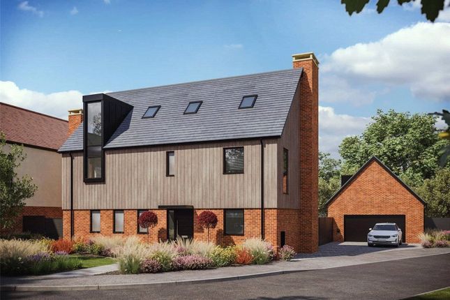 Plot 6 CGI