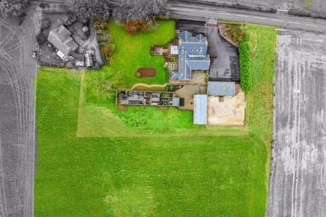 Westfield Farm, By Tarbolton photo 4
