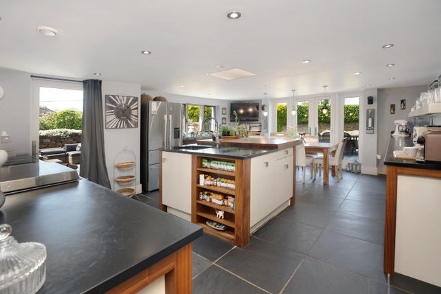 Lower Hill Farm, Tavistock photo 3