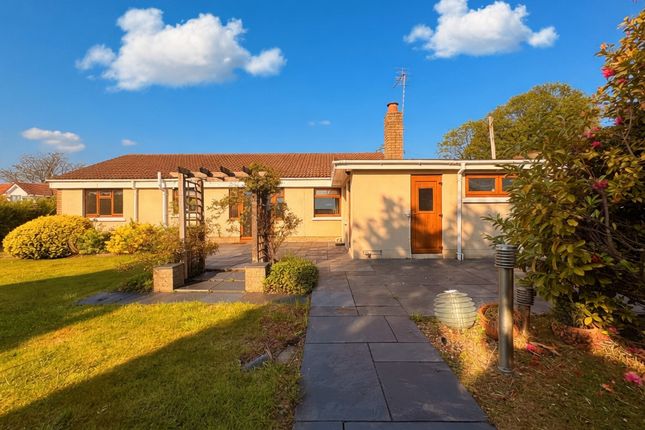 55, Rehoboth Road, Llanelli photo 2