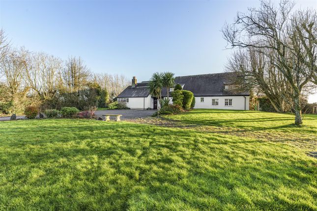 Twmpath Farm, Cowbridge photo 2