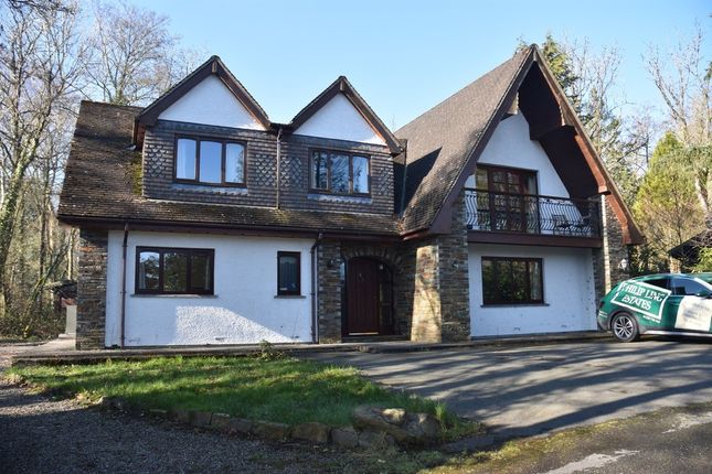 Thumbnail Detached house to rent in Penlan Main House, Penlan Holiday Village, Cenarth