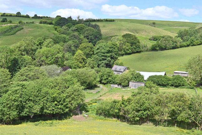 Homestead &amp; Land