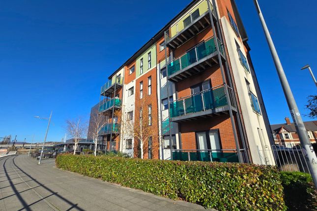 Whatsapp Image 2025-11-17 At 17