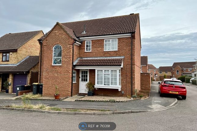 Thumbnail Detached house to rent in Wells Close, Kempston, Bedford