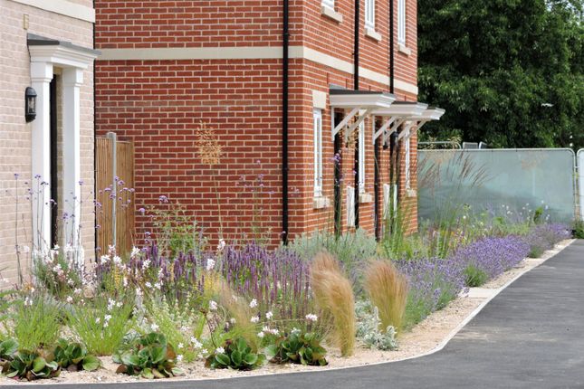 Plot 124, The Aster, Chattowood, Elmstead Market photo 4