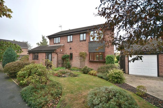 Thumbnail Detached house to rent in Salcey Close, Swanwick, Alfreton