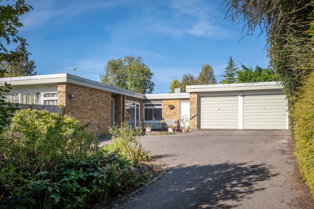 Thumbnail Bungalow for sale in Cooks Lane, Walderton, Chichester, West Sussex