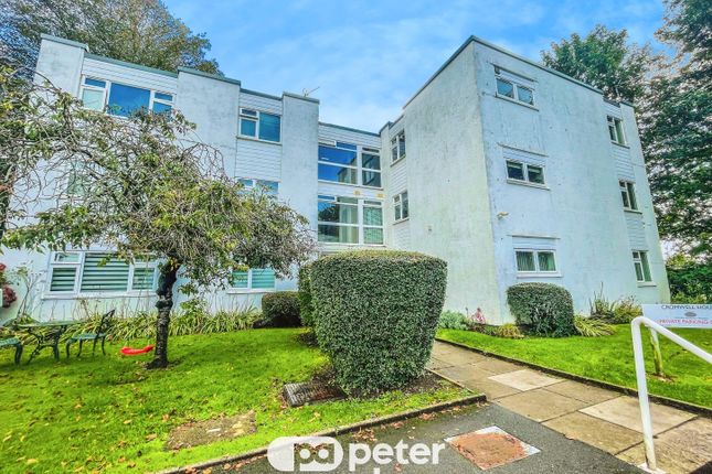 19, Llanishen photo 3