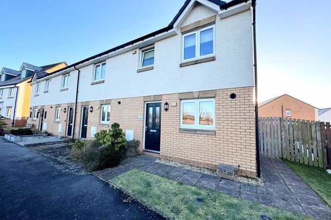 Thumbnail Terraced house for sale in Corvus Place, Motherwell