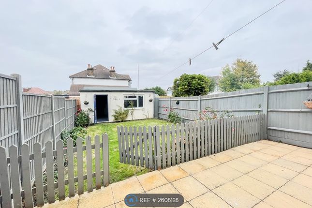 Back Garden